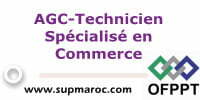 AGC-Technicien Spécialisé en Commerce