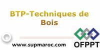 BTP-Techniques de Bois