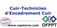 ITA Technicien d’Encadrement Cuir
