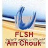 FLSH ain chouk