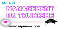 MANAGEMENT DU TOURISME