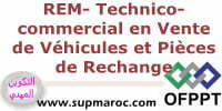 ISTA Technico-commercial en Vente de Véhicules et Pièces de Rechange