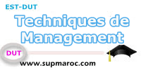 Techniques de Management