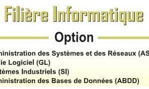 EST DUT Filière Informatique (INFO)