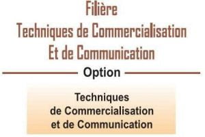 EST Filière Techniques de Commercialisation et de Communication (TCC)