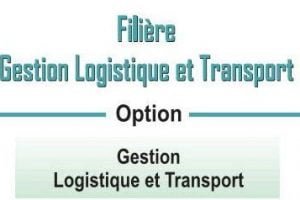 EST Gestion Logistique et Transport (GLT)