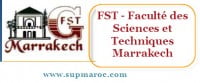 Masters en Sciences et Technique
