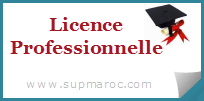 Licence Professionnelle